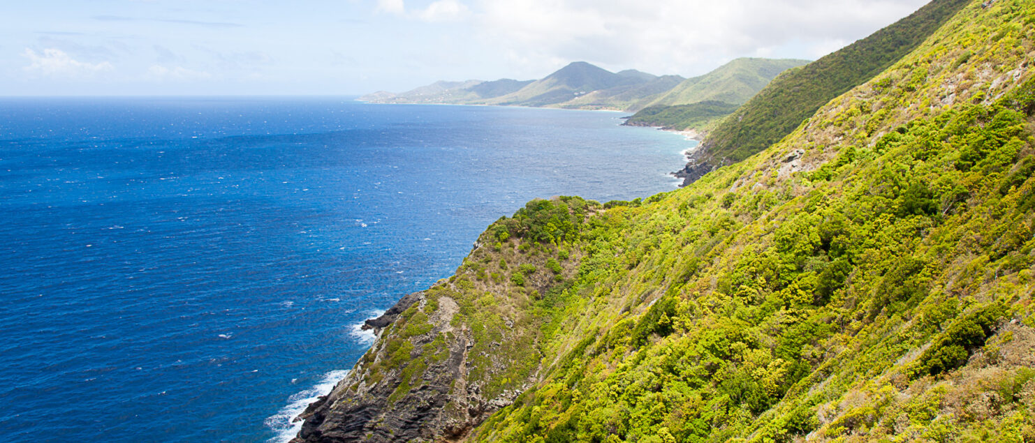 Tropical coast with blue water and green mountains