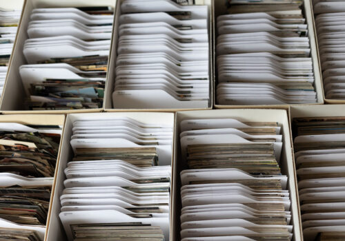 photos organized in archival boxes
